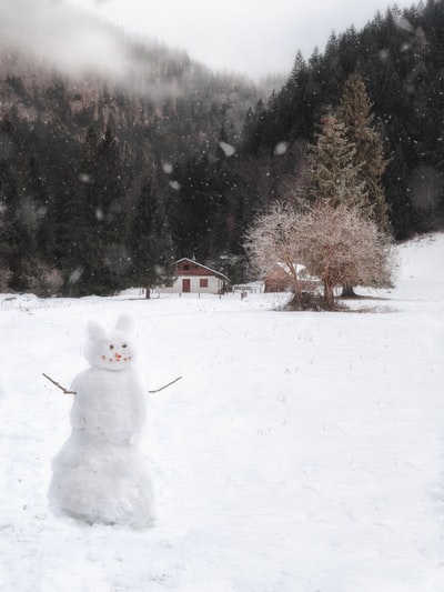 白昼雪地上的白色雪人